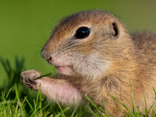 LEICA DG ELMARIT 200mm / F2.8 / POWER O.I.S. Sample Images 2