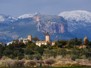 LEICA DG VARIO-ELMARIT 50-200mm / F2.8-4.0 ASPH. / POWER O.I.S. Sample Images 5