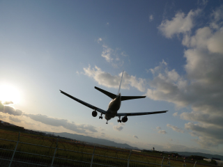 LUMIX G X VARIO 12-35mm / F2.8 II ASPH. / POWER O.I.S. Sample Images 1