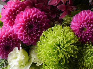 LUMIX G X VARIO 12-35mm / F2.8 II ASPH. / POWER O.I.S. Sample Images 2