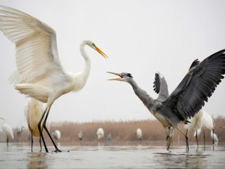 LUMIX G X VARIO 35-100mm / F2.8 II / POWER O.I.S. Sample Images 2