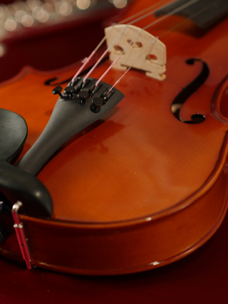 LEICA DG NOCTICRON 42.5mm / F1.2 ASPH. / POWER O.I.S. Sample Images 1