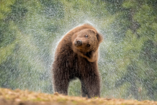 LEICA DG VARIO-ELMAR 100-400mm / F4.0-6.3 ASPH. / POWER O.I.S. Sample Images 7