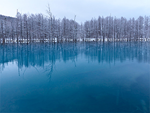 LEICA DG SUMMILUX 12mm / F1.4 ASPH. Sample Images 4