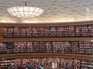 LEICA DG VARIO-SUMMILUX 10-25mm / F1.7 ASPH. Sample Images 4