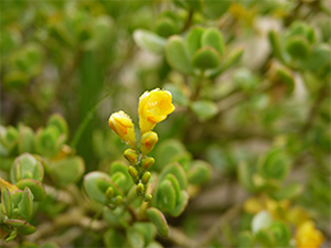 LEICA DG SUMMILUX 25mm / F1.4 II ASPH. Sample Images 3