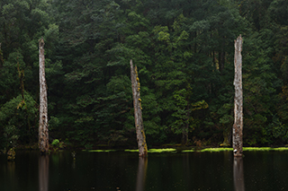 LUMIX S PRO 24-70mm F2.8 Sample Images 4