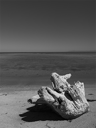 LUMIX S PRO 24-70mm F2.8 Sample Images 6