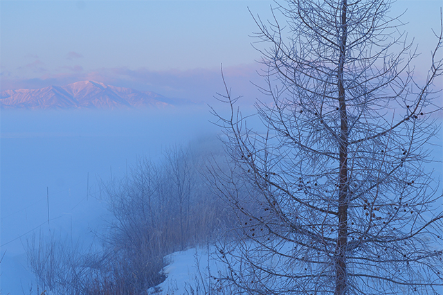 LUMIX S PRO 24-70mm F2.8 Sample Images 8