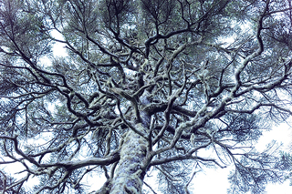 LUMIX S5M2 Gallery 2