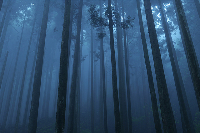 LUMIX S5M2 Gallery 3