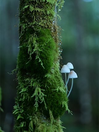 LUMIX S5M2 Gallery 6