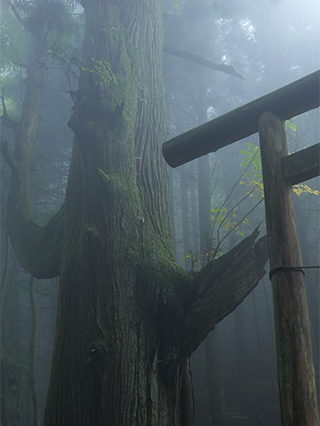 LUMIX S5M2X Gallery 10