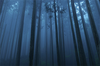 LUMIX S5M2X Gallery 2