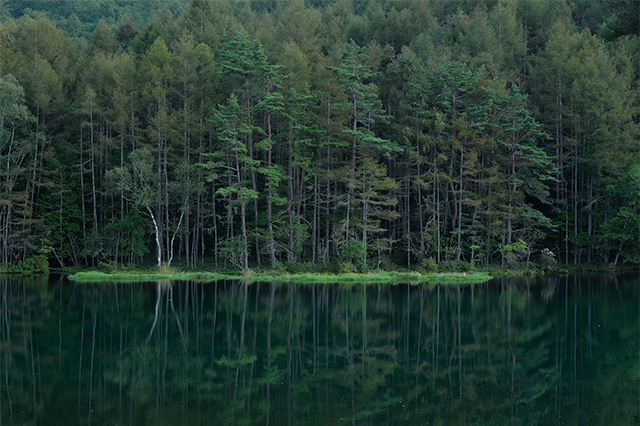 LUMIX S5M2X Gallery 4