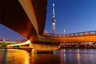 LUMIX S 14-28mm F4-5.6 MACRO (S-R1428) L-Mount Lens