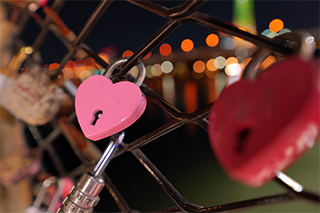 LUMIX S 14-28mm F4-5.6 MACRO (S-R1428) L-Mount Lens