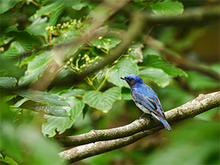 LUMIX G9II Sample Images 24