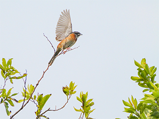 LUMIX G9II Sample Images 25