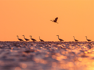 LUMIX G9II Sample Images 26