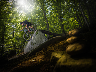 LUMIX G9II Sample Images 5