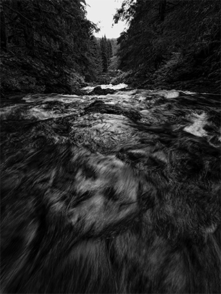 LUMIX G9II Sample Images 7