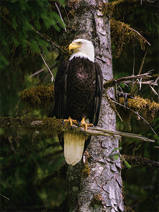 LUMIX G9II Sample Images 8