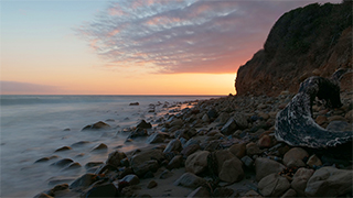 LUMIX GH5M2 Gallery 10