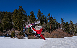 LUMIX GH5M2 Gallery 4