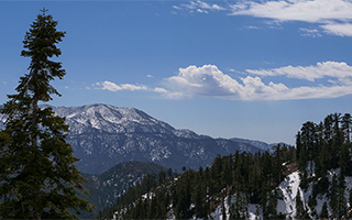 LUMIX GH5M2 Gallery 5