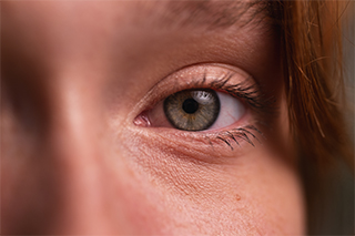 LUMIX S 100mm F2.8 MACRO Sample Images 4