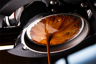 LUMIX S 100mm F2.8 MACRO Sample Images 5