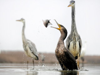 LUMIX G X VARIO 35-100mm / F2.8 II / POWER O.I.S. Sample Images 1