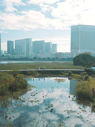 LUMIX S 28-200mm F4-7.1 MACRO O.I.S. Sample Images 2