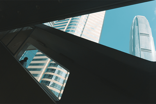 LUMIX S 28-200mm F4-7.1 MACRO O.I.S. Sample Images 3