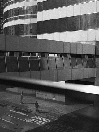 LUMIX S 28-200mm F4-7.1 MACRO O.I.S. Sample Images 4