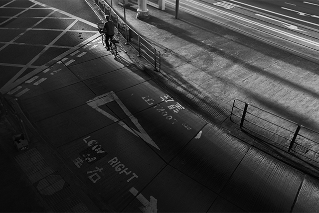 LUMIX S 28-200mm F4-7.1 MACRO O.I.S. Sample Images 6