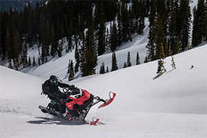 LUMIX S1II Gallery 15