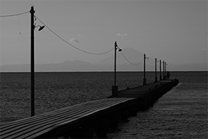 LUMIX S1II Gallery 6