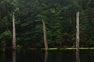 LUMIX S1RII Gallery 12