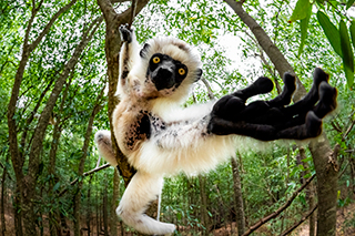 LUMIX S1RII Gallery 26