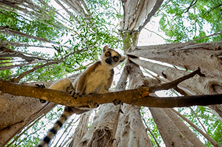 LUMIX S1RII Gallery 29