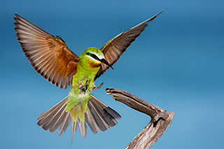 LUMIX S1RII Gallery 30