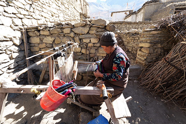 LUMIX S1RII Gallery 13