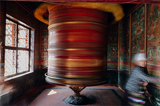 LUMIX S1RII Gallery 14