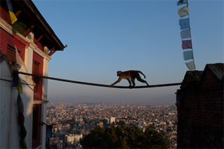 LUMIX S1RII Gallery 16