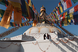 LUMIX S1RII Gallery 17