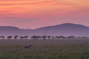 LUMIX S 100-500mm F5-7.1 Sample Images 9