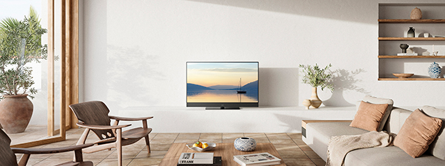 48Z90A lifestyle image