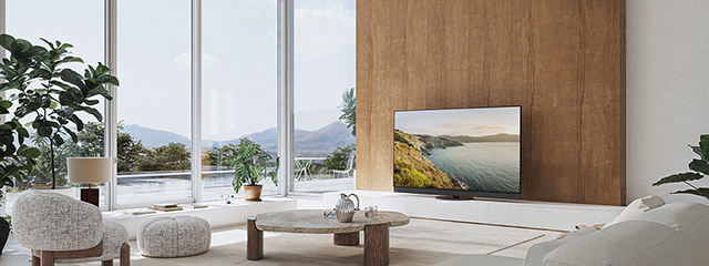 Z95B lifestyle image